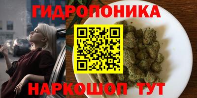 ECSTASY Кингисепп