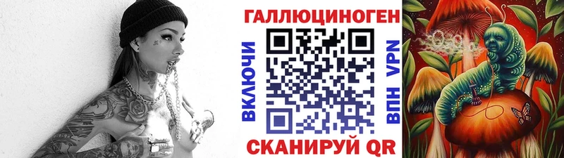 цены наркотик  Новоуральск  MEGA tor  Псилоцибиновые грибы Psilocybe 