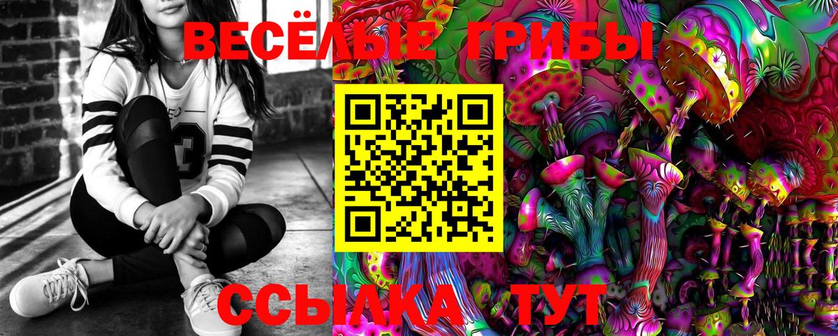 Галлюциногенные грибы GOLDEN TEACHER  купить наркотик  Новоуральск 