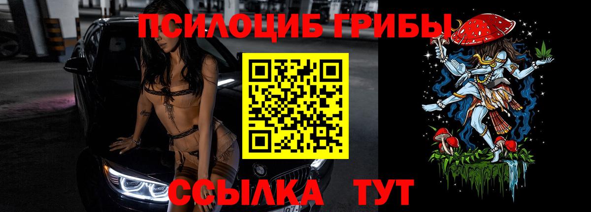 Псилоцибиновые грибы Psilocybe Новоуральск